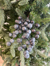 Blue Berry Pick
