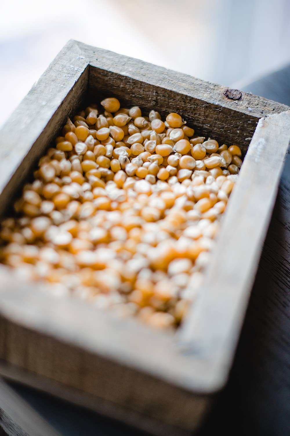 14oz Bottle of Extra Large Caramel Popcorn