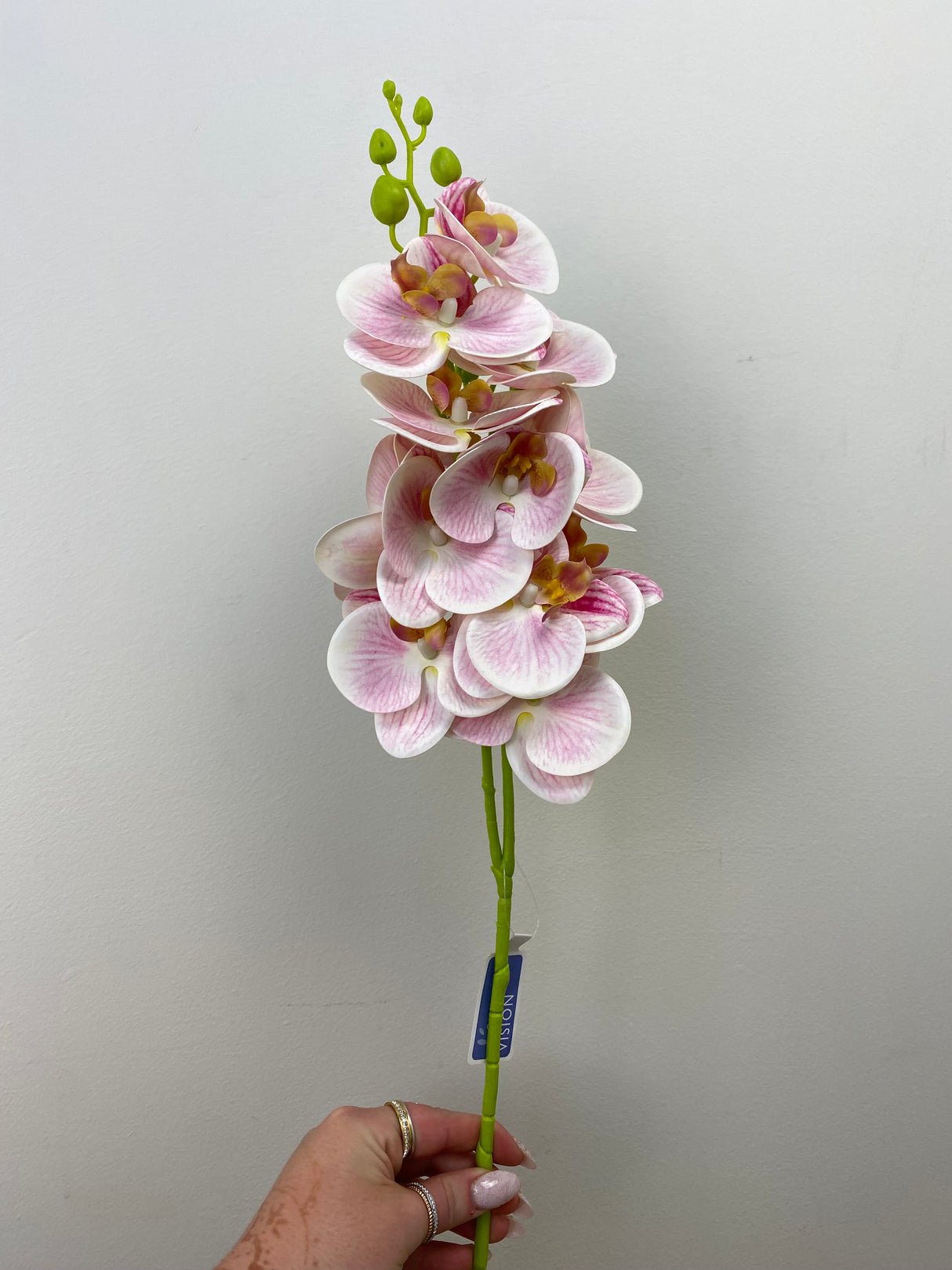 Pink Phalaenopsis Orchid Spray