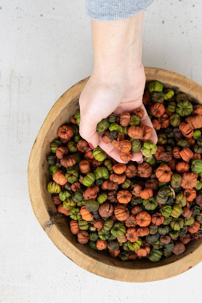 Orange & Green Putka Pods Bag