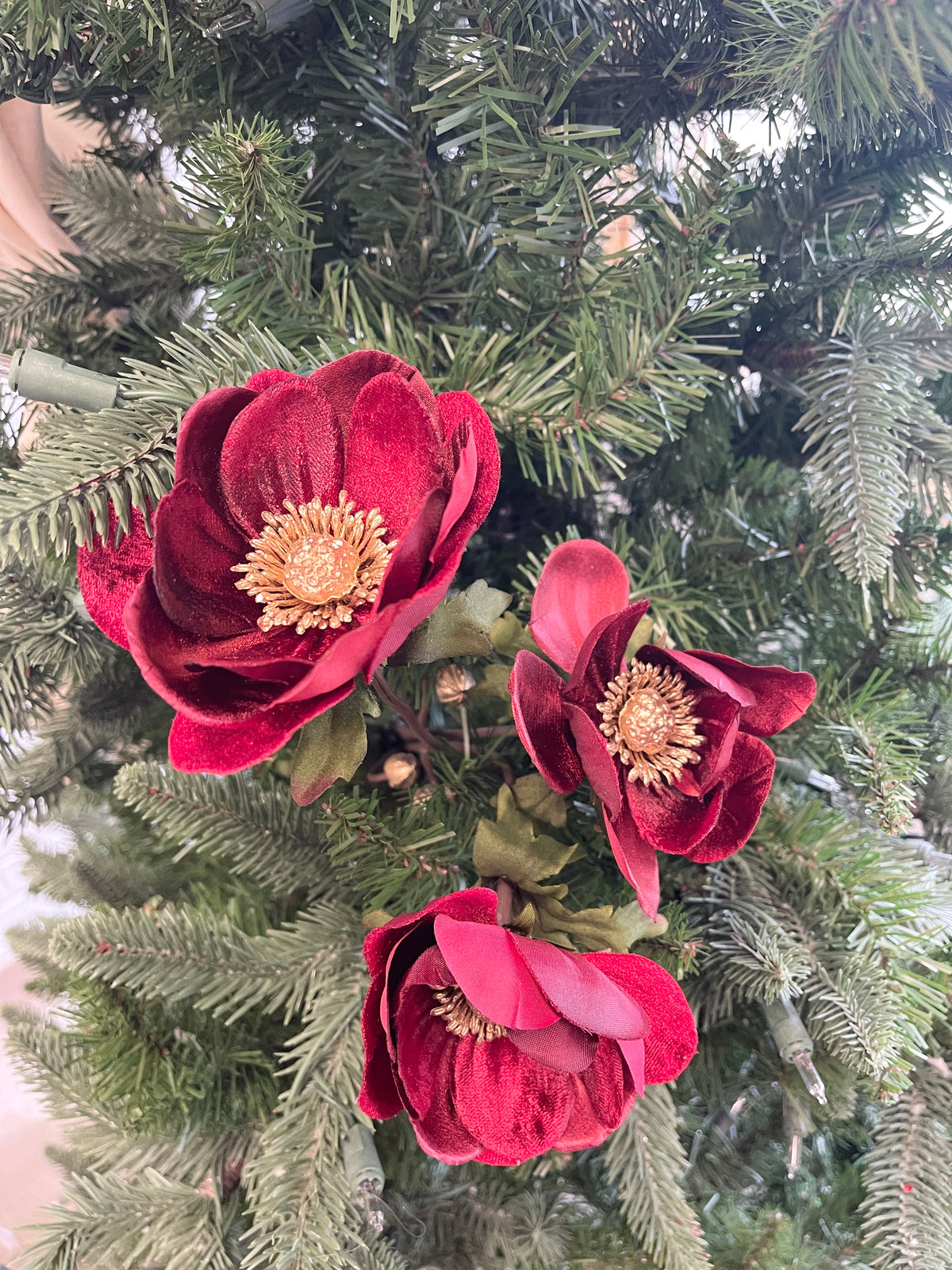 Red Glamour Velvet Anemone Spray