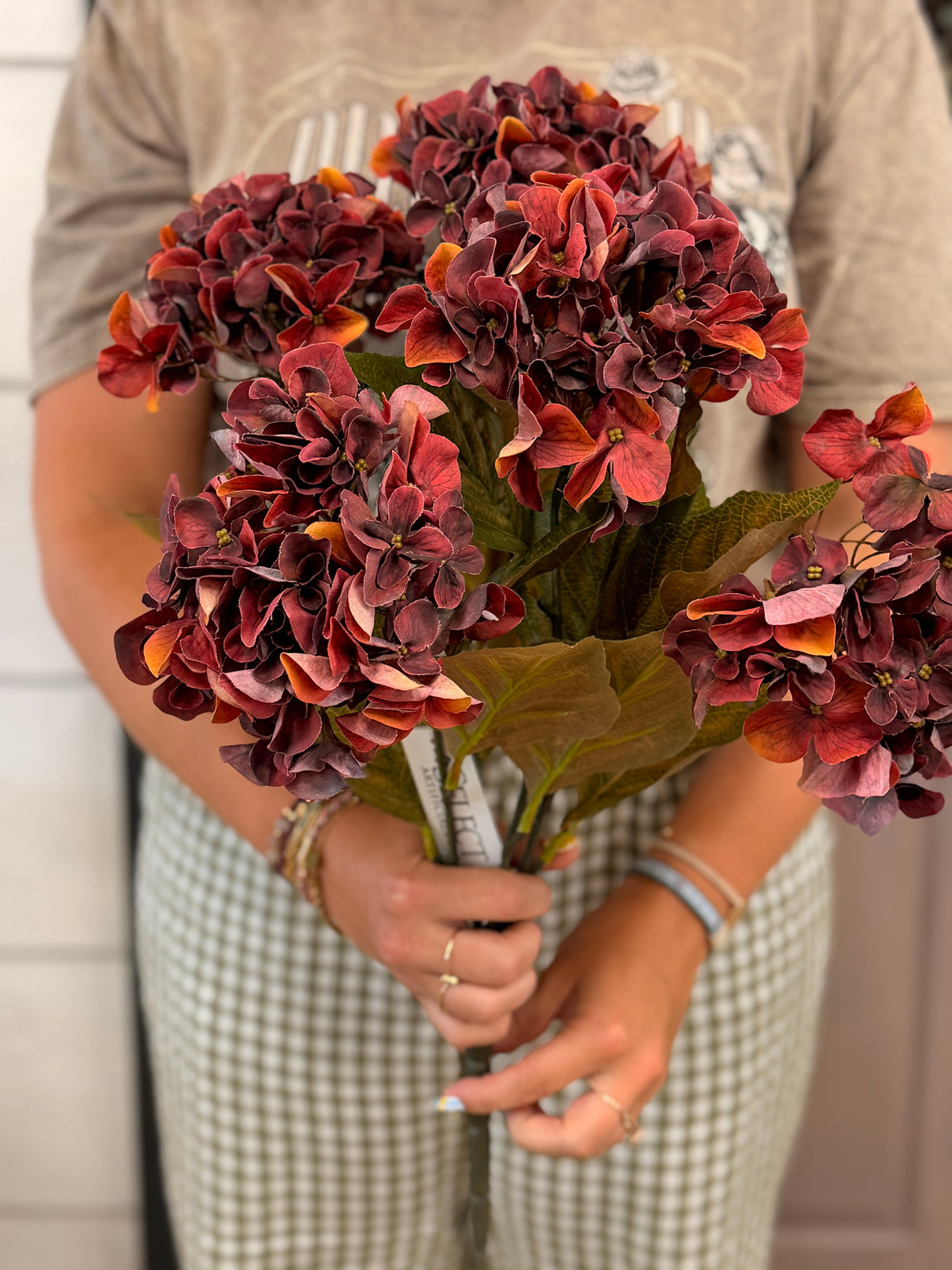 Rust Harvest Hydrangea Bush