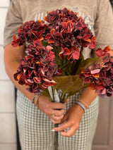 Rust Harvest Hydrangea Bush