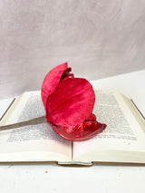 Christmas Red Magnolia Stem