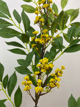 Yellow Sumac Leaf Spray