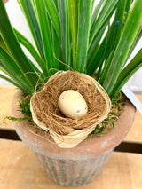 15" Spring In Bloom Centerpiece