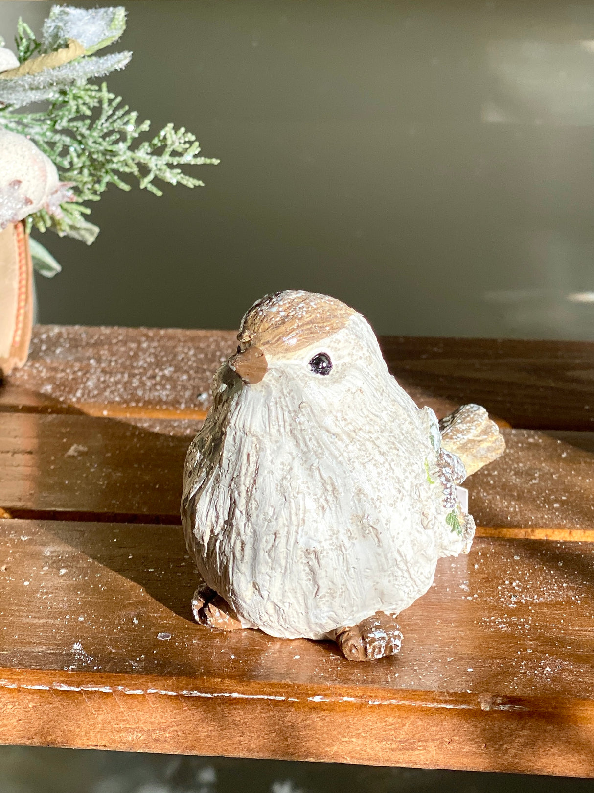 Winter Wing Bird