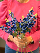 Essex Blue Bonnet Spray