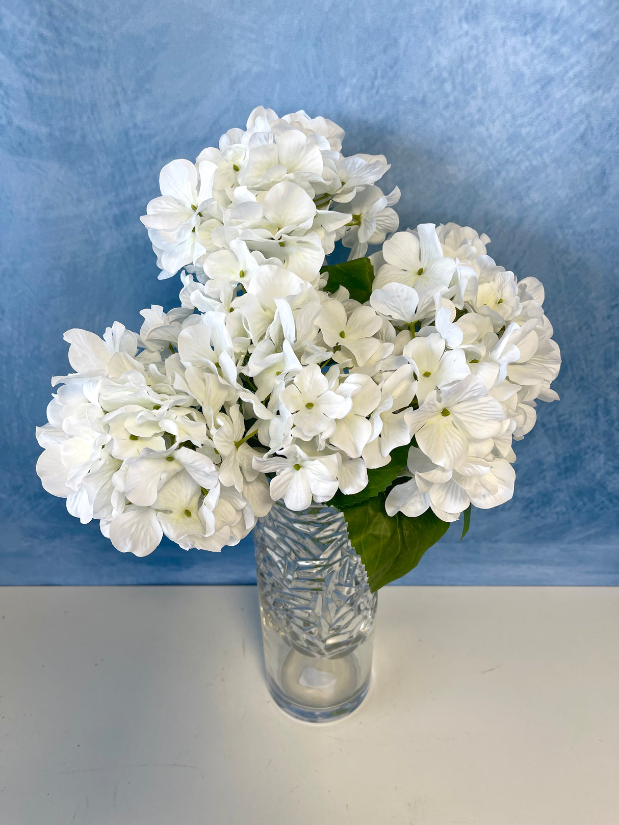 White UV Protect Hydrangea Bush