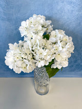 White UV Protect Hydrangea Bush