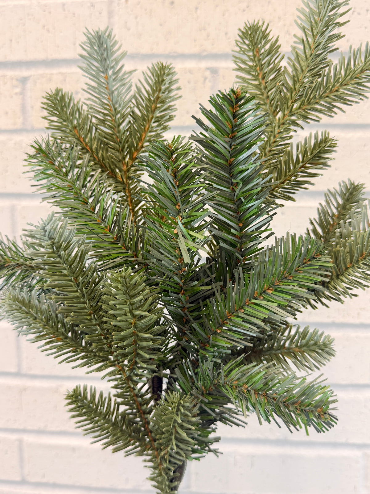 Blue Green Spruce Spray