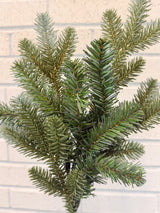 Blue Green Spruce Spray
