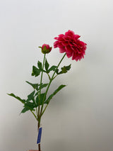 Magenta Dahlia Spray