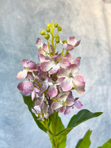 Lavender Lilac Spray