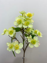 Green Dogwood Spray