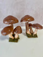Resin rimini mushroom assortment 9.5 x 7.5 inch for farmhouse cottagecore fall home decor from Magnolias Home Decor
