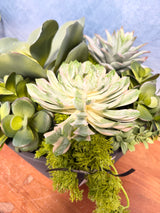 16"UV Desert Dream Planter