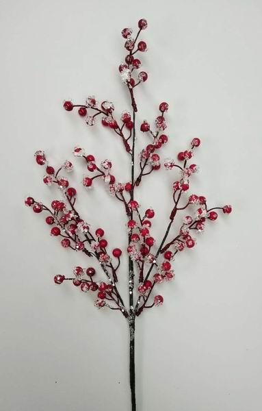 Iced Morning Berry Spray