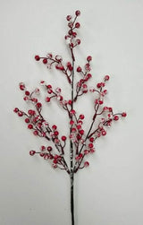 Iced Morning Berry Spray