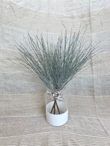 Snowy Long Needle Pine Spray