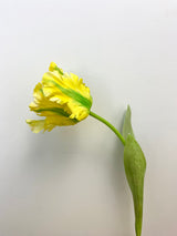 28" Yellow Parrot Tulip Spray