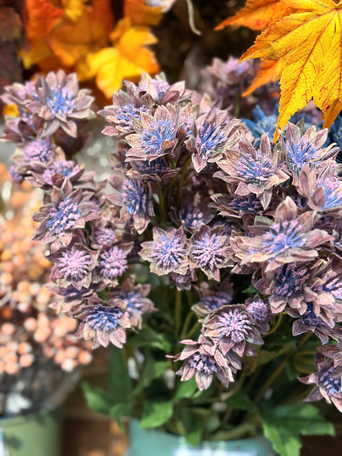 Purple Astrantia Spray