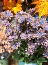 Purple Astrantia Spray