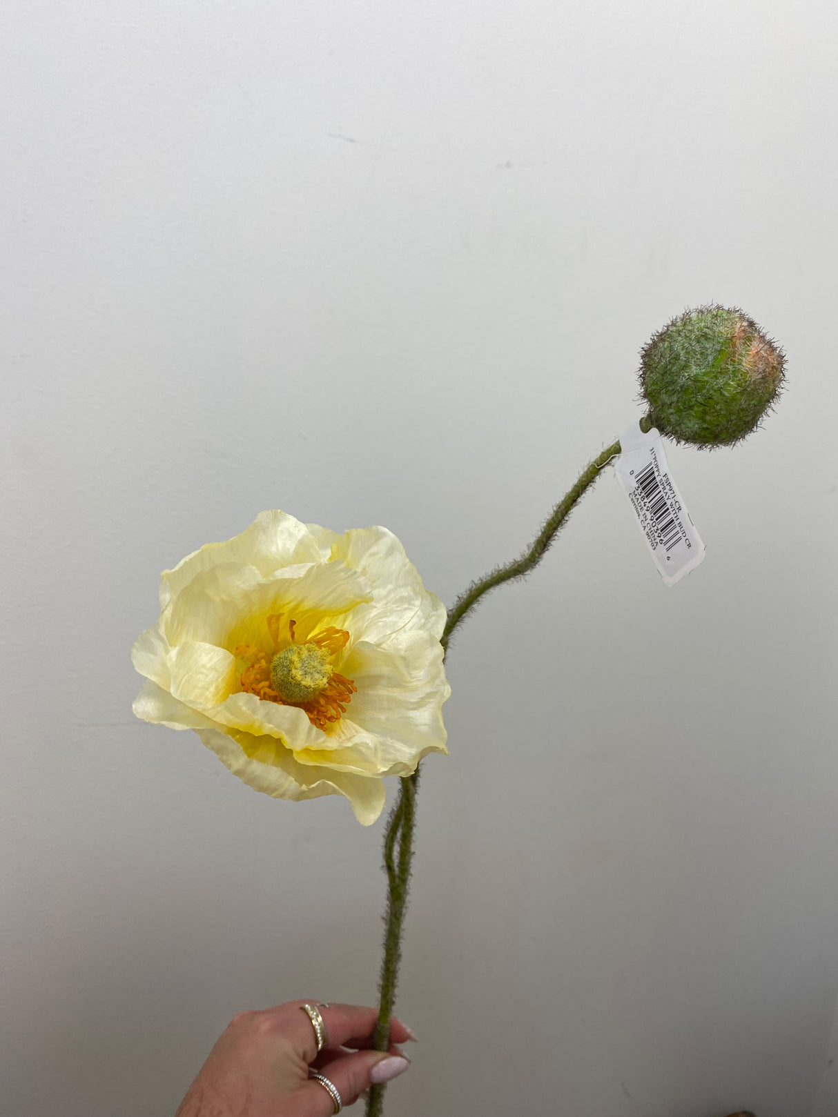 Cream Poppy Spray With Bud