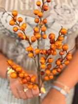 Yellow Brown Berry Spray