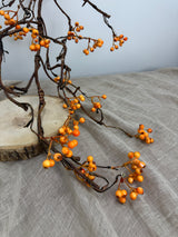 Bendy Bittersweet Branch