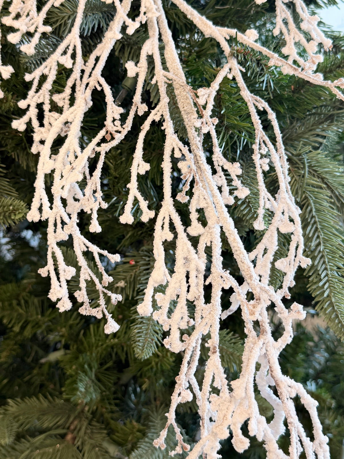 Snowed Natural Snow Branch