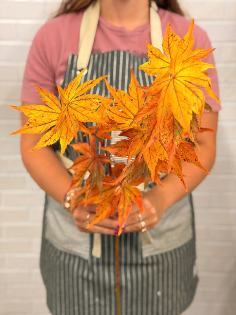 A person wearing a pink shirt and a gray-and-white striped apron holds a bundle of artificial autumn maple leaves in shades of orange, yellow, and red against a white brick wall background.