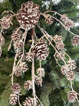 Betty Snow Pinecone Spray