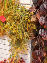 Orange Fall Bald Cypress Hanging Vine