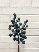 Blue Berry Pick
