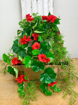 15" UV Protect Red Draping Geranium Pot-filler