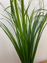 UV Protect Field Grass Bush