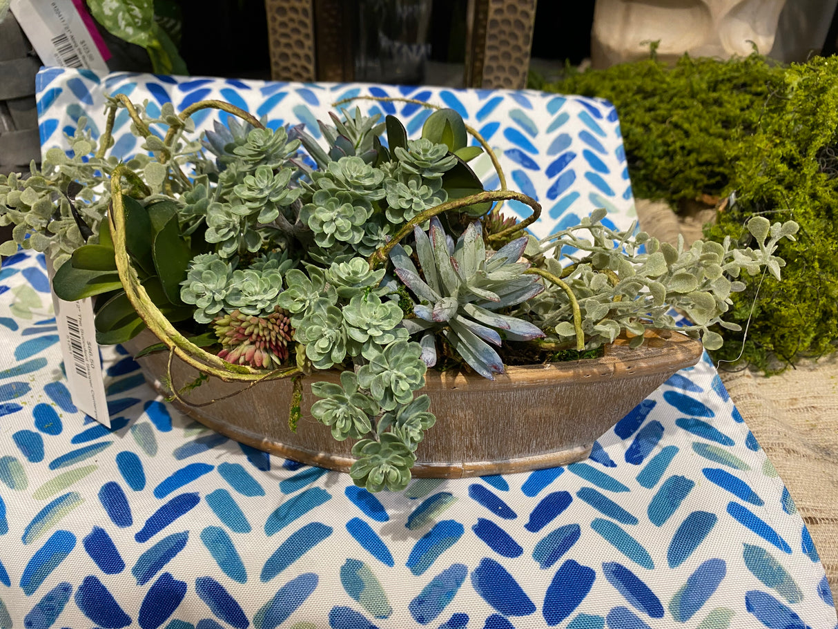12" The Succulent Skipper Centerpiece