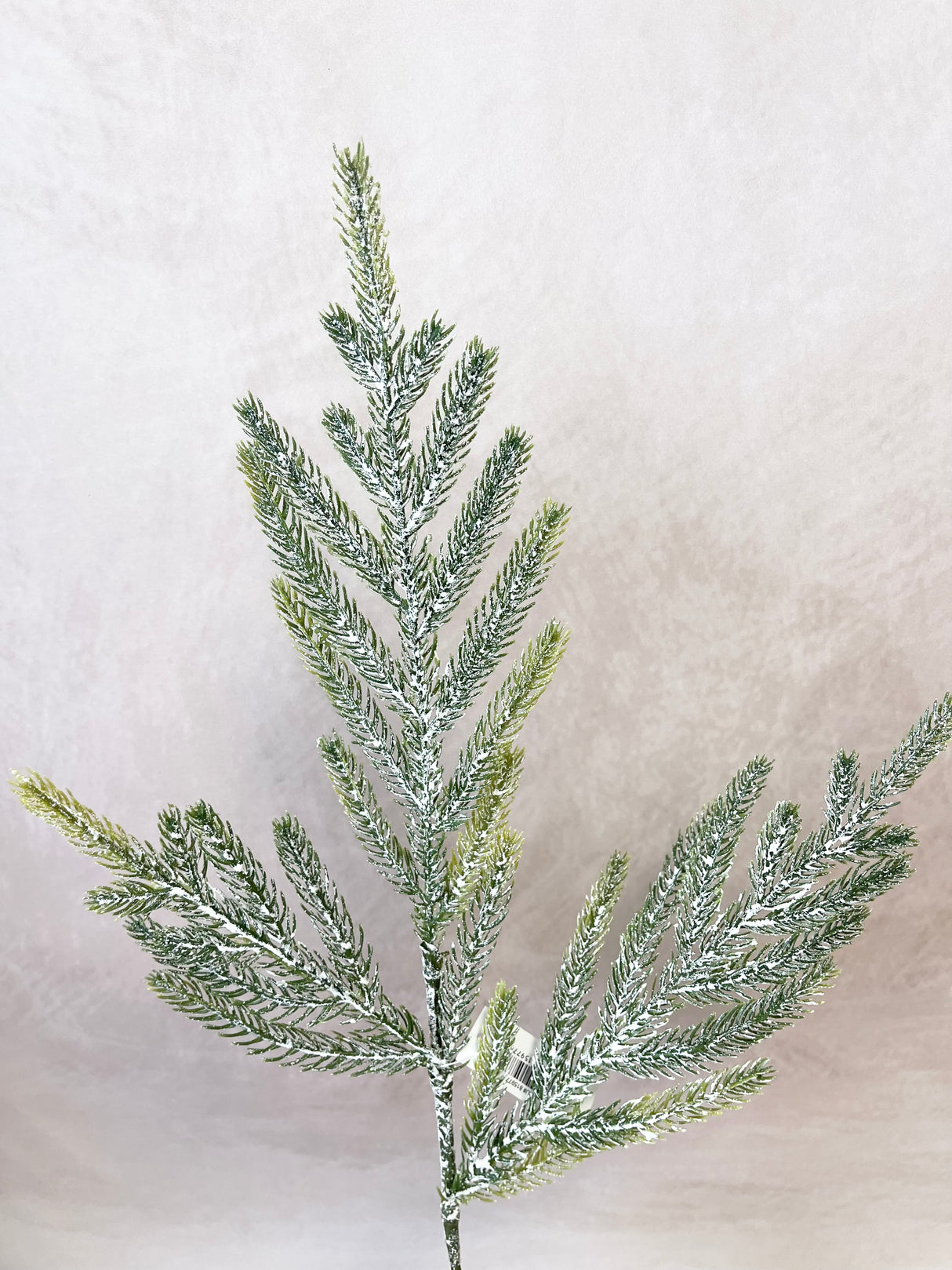 A Winter to Remember Pine Pick