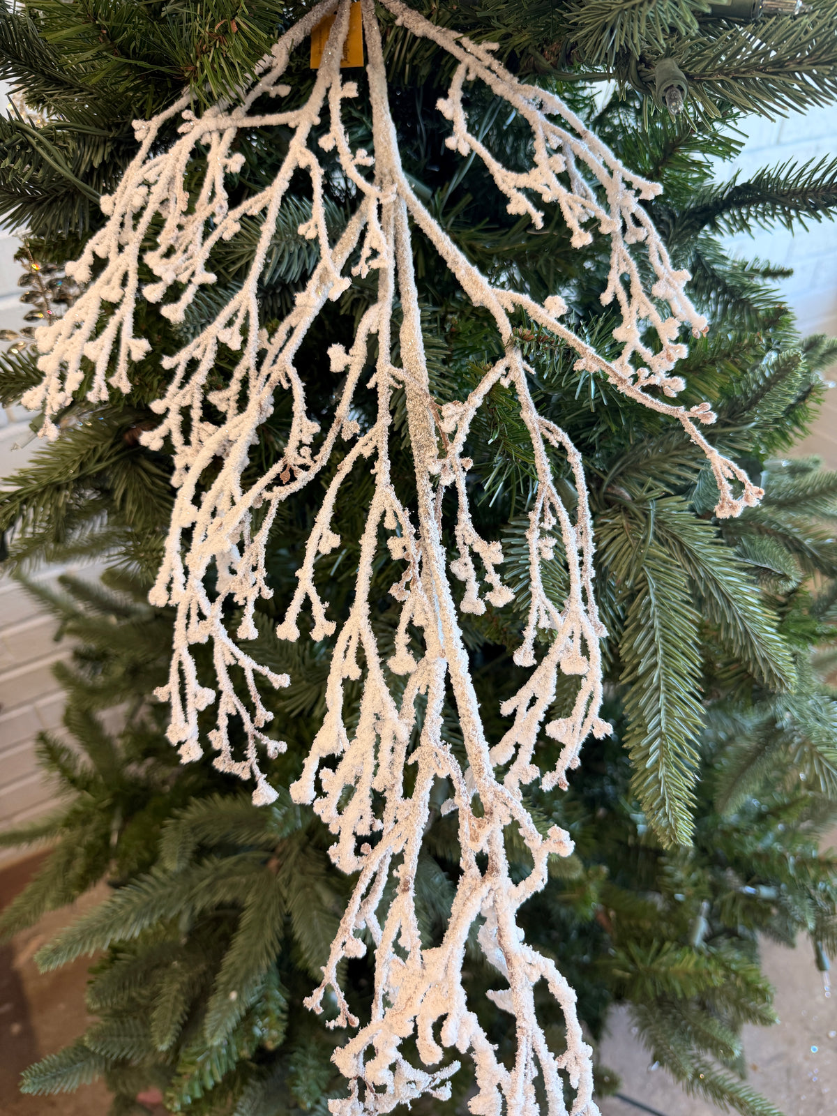 Snowed Natural Snow Branch