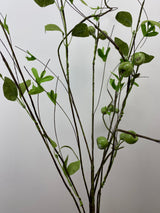 Crater Berry Twig Spray