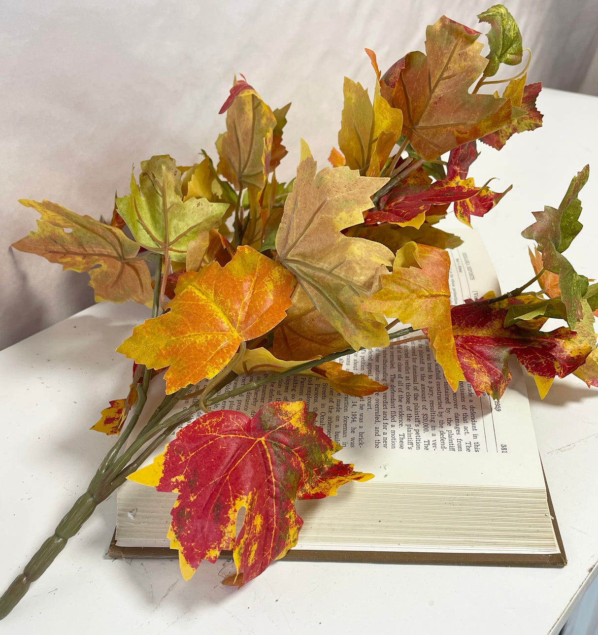 Flame Maple Bush
