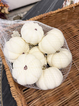 Assorted Cream Pumpkin Bag