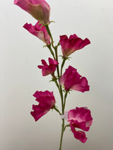Fushcia Sweet Pea Spray