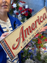 24" America Wall Art