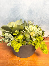 16"UV Desert Dream Planter