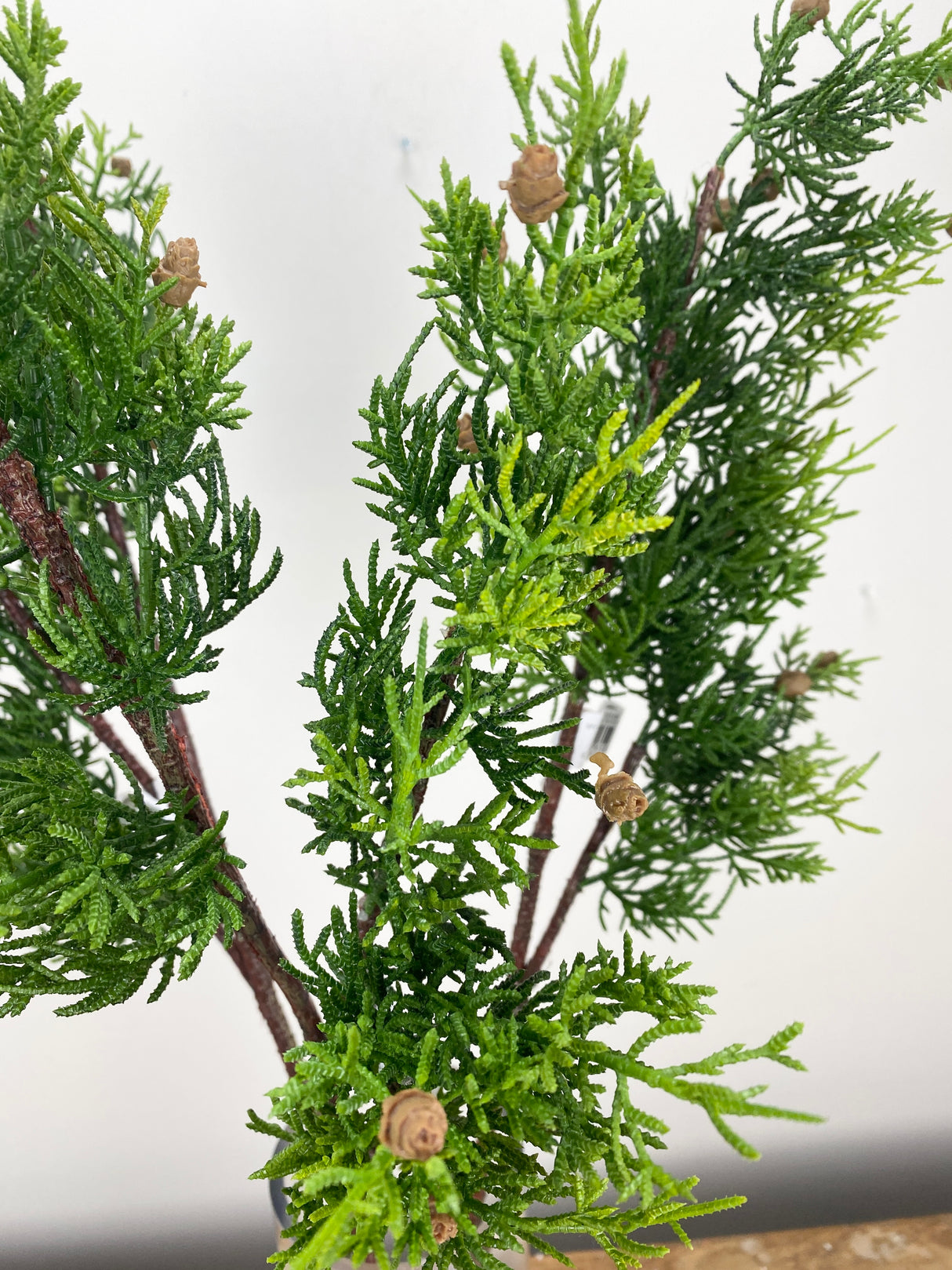 Just Cut Pinecone Cedar Spray