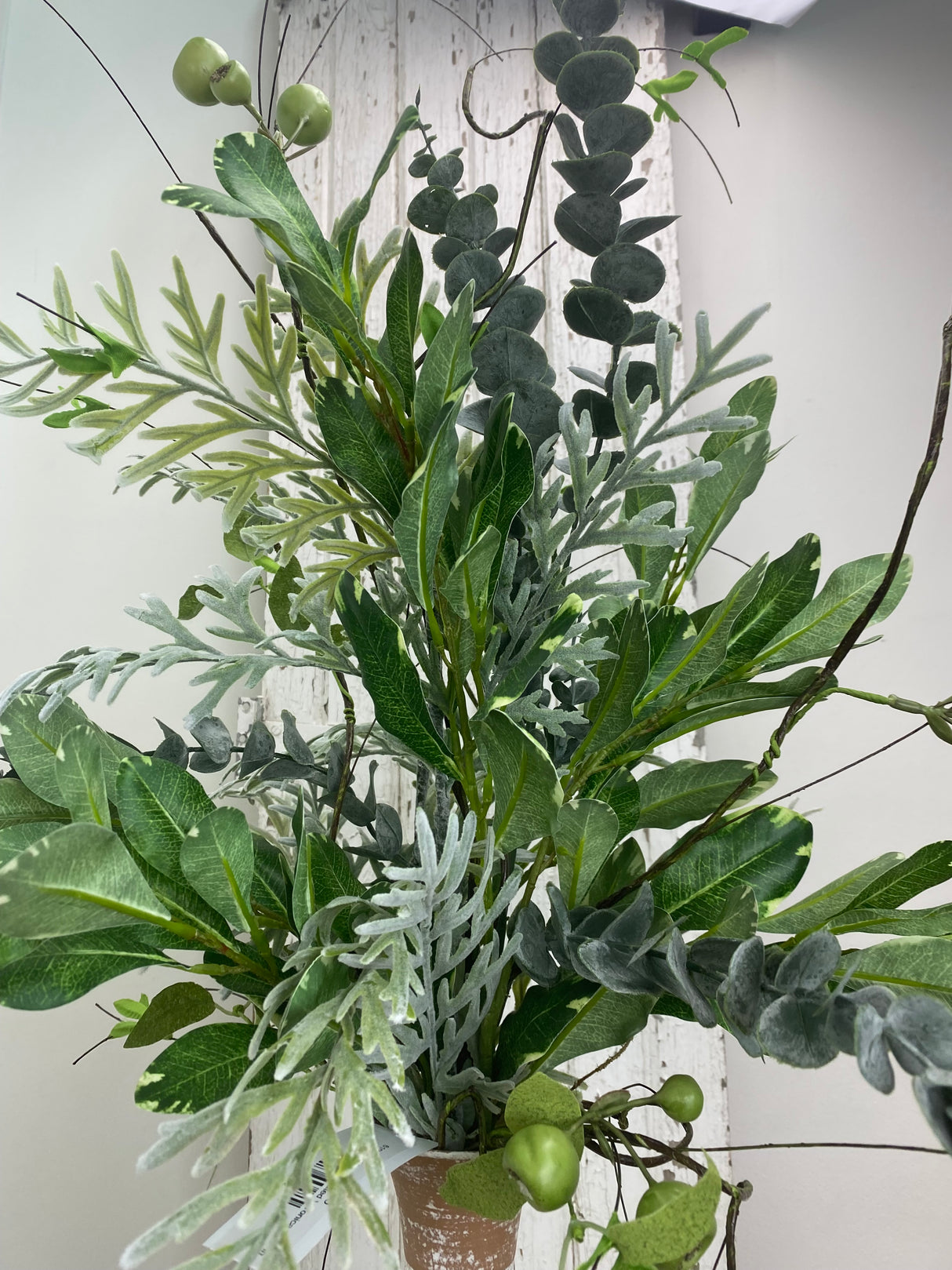 38" Variegated Veronica Drop-in