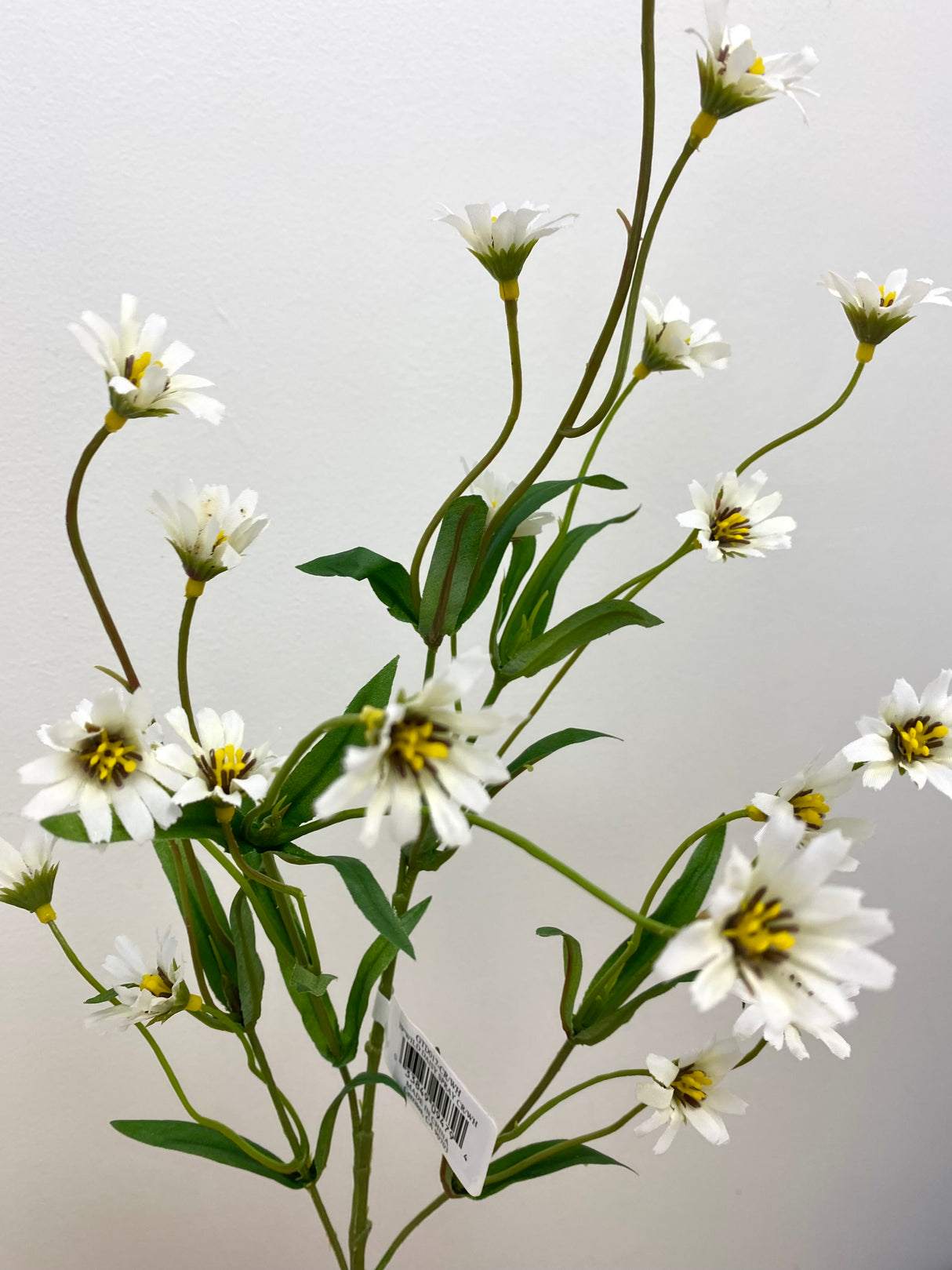 Cream White Wild Daisy Spray