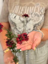 Burgundy Coreopsis Spray